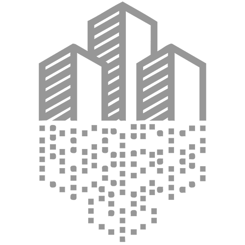 Digital Twin